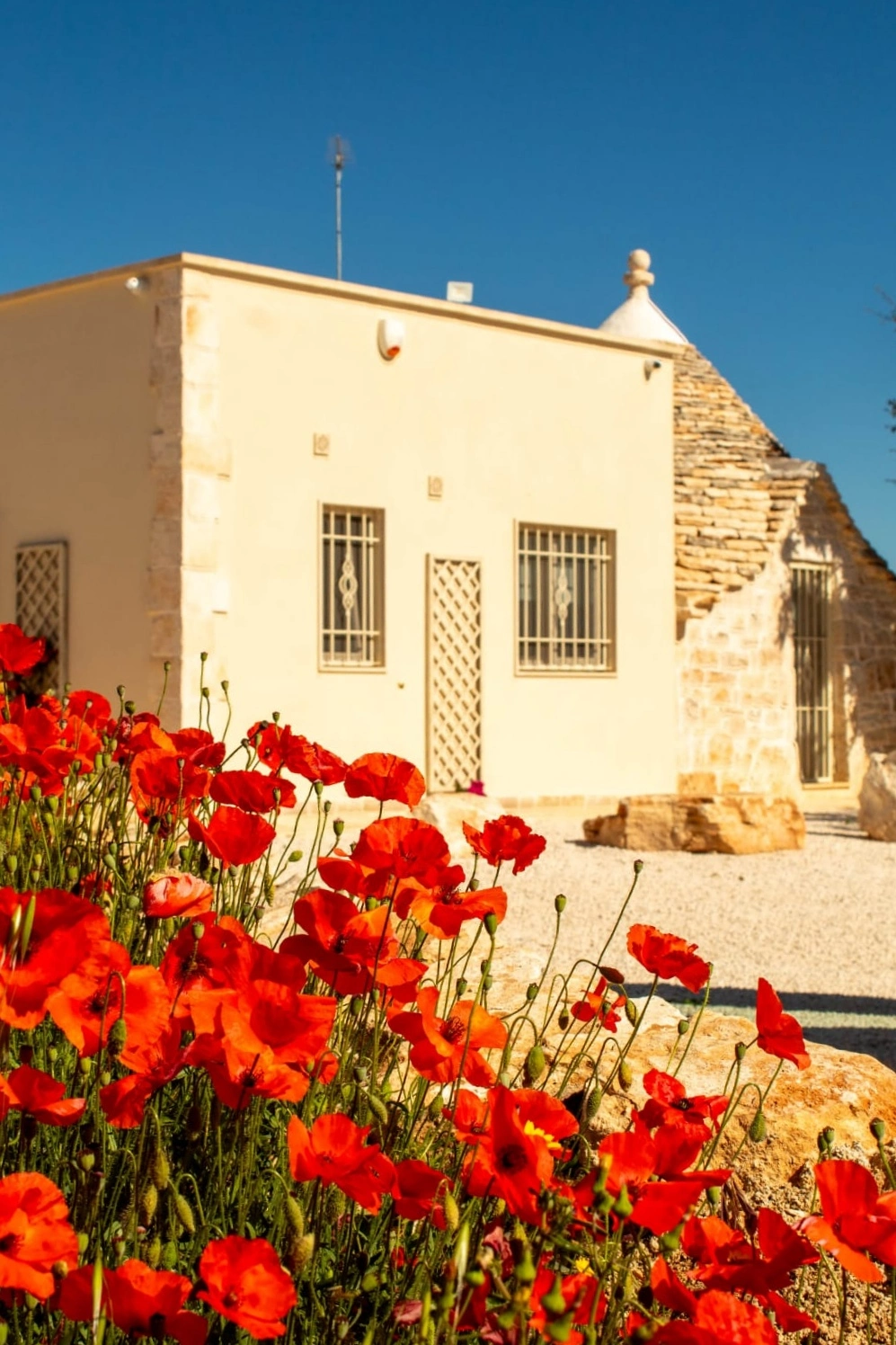 Description de l'image 2